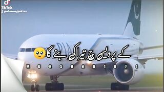 Pardesi
