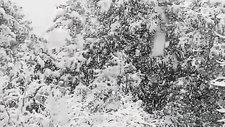 Heavy Snowfall In Jammu & Kashmir  | Kashmir packed with tourists | L