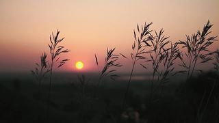 Beautiful view ????????