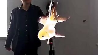 Amazing technology