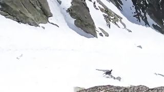 Hi speed