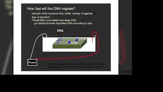 Molecular Biology Techniques 1- Live Stream