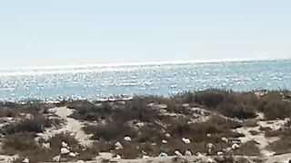 Best SEA VIEW ????