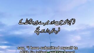 Tilawat e Quran Surah Ale Imran Ayat 20-21