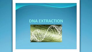 DNA Extraction ppt