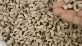 White lobiay fry scank