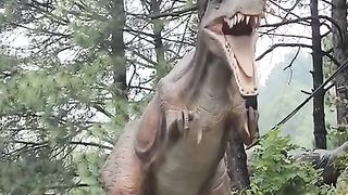 Dinosaur