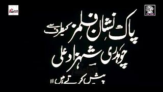 Chooreya  !  Pakistan pnjabi move clip