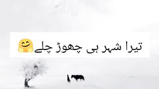 Urdu Shayari Whatsapp Status