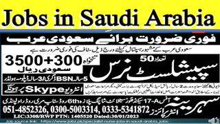 Jobs in saudia
