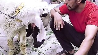 Fantestic funny video 2023