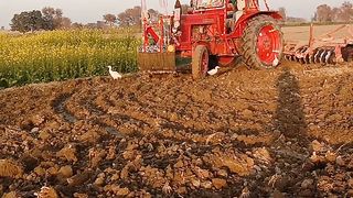 Belarus tractor zbrdst perfumes