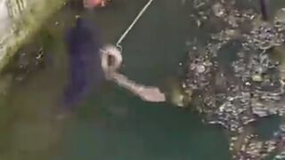 Must see end