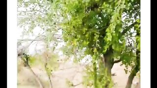 A beautiful view ov mah village