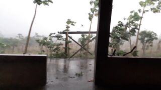 MAIS UM TEMPORAL NO SÍTIO, MUITA CHUVA NO DOMINGO