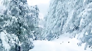 Snow is a beautiful sight and driving on snow is its own fun
