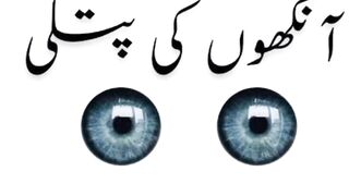 Educational knowledge