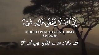 Mashaa Allah