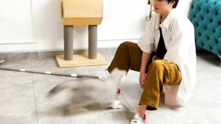 Funny Action by Cat on febspot