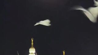 Aye Saba Mustafa se