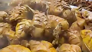 Chicken chargha and fish fry ( subscribe please )
