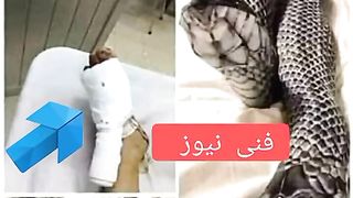 Funny news video