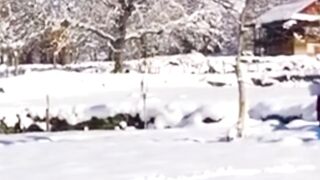Kashmir velley