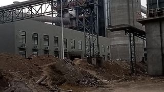 Plant