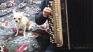 Come on, sing along.