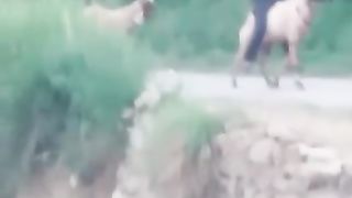 Funny video