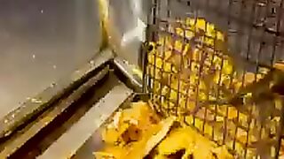 Amazing grill shawarma ( subscribe please )