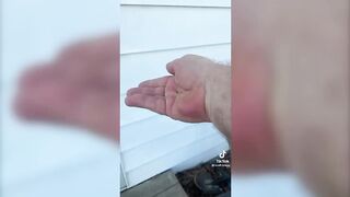Funny TikToks That Made Me Have Dinosaur Paws ????????