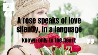 Rose Day Quotes|Quotes About Rose Day Lessond Whatsapp Status