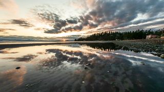 HD Nature Video