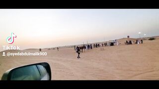 Desert Safari  Dubai |Dune Bashing |