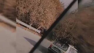 Beautiful moment