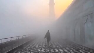 A beautiful view