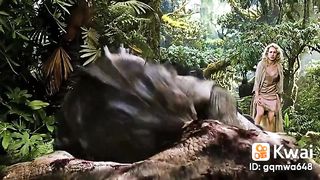 Animale fight