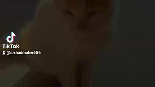 Tik tok
