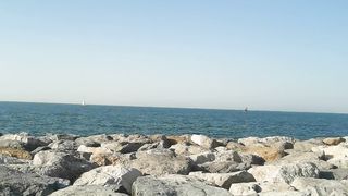 Oman see said