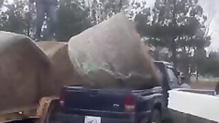 Most funniest intertainment video
