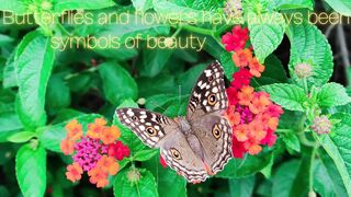 "The Magical Bond Between Butterfly and Flowers"