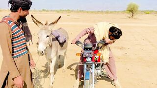 گدھے نے لوٹ لیا بہت ہی فنی