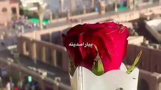 Urdu Naat Status 2023