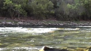Amazing Fish caught
