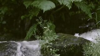 Surah Rahman 2