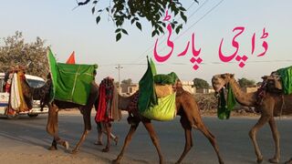 Dachi vlog | dachi parti vlog | funny vlog | razaqrao