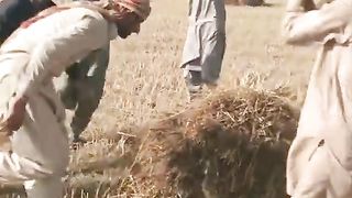 Desi videos