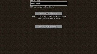 Play minecraft for the first time