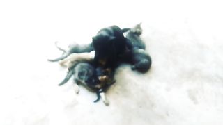 Sleeping Time